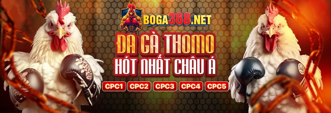 Các trò chơi đa dạng tại df999a